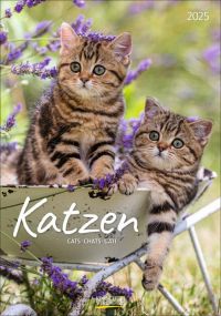 Korsch Kalender Katzen als Werbeartikel