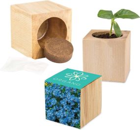 Pflanz-Holz Maxi - Samen nach Wahl - inkl. Werbedruck