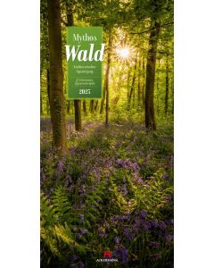 Kalender Mythos Wald 2025