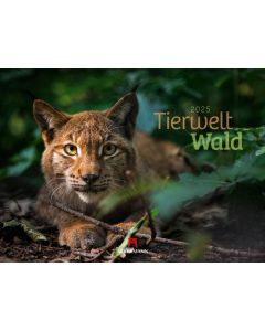 Kalender Tierwelt Wald 2025