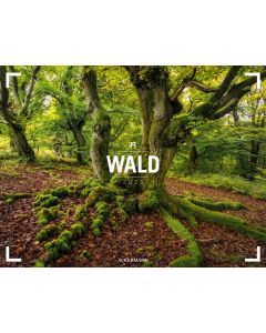 Kalender Wald - Gallery 2025