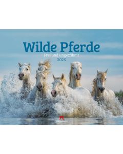 Kalender Wilde Pferde 2025